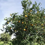 Golf Club * מטאפונטו
